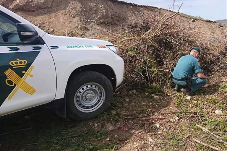 Begravde hund levende