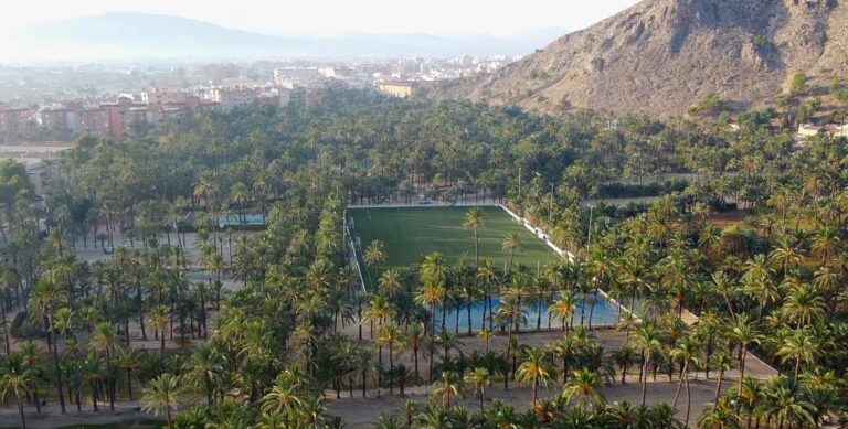 Selv palmene sliter i rekord-varmen