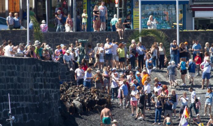 geiter-strand-gran-canaria