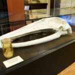 170809_186439578050138_3117914_o