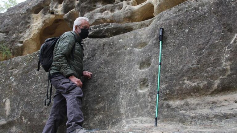 Mystiske &laquo;graveringer&raquo; fra bronsealderen i Rojales og Guardamar