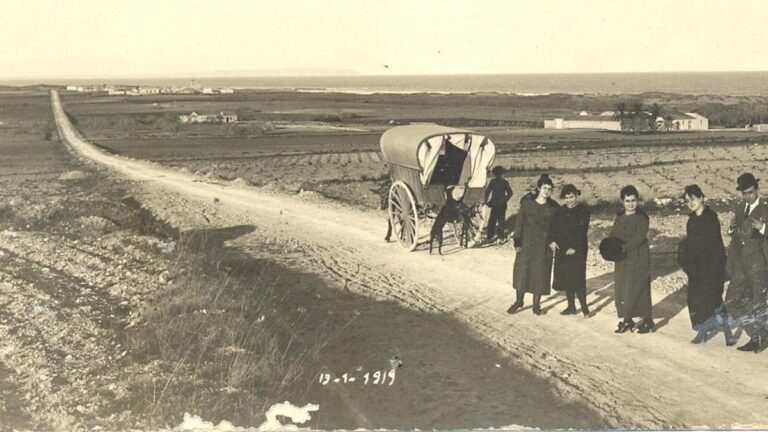 Vindyrking på La Mata i Torrevieja