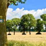 Santiago de Compostela-opplevelse