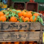appelsin-fra-orienten