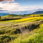 landskap-fransk-side