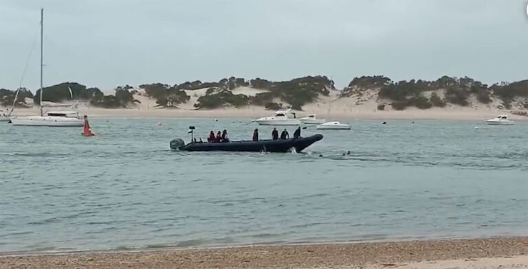 Fire druknet da migranter ble kastet av båt