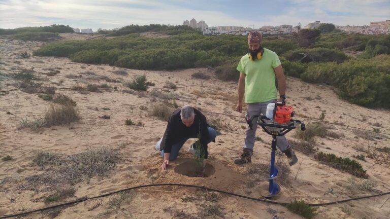 Gjenopprette sanddyneskogen i Torrevieja