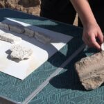 Cultura_visitas-excavacion-villa-romana-14-marzo-001