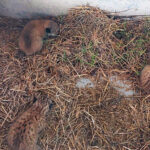 MFV3NEDZZJCG7L24MJ3B2FL45E