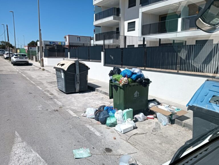 Klager over søppel og rotter på Orihuela Costa