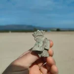 konsentrasjonsleir-alicante