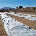 konsentrasjonsleir-alicante3