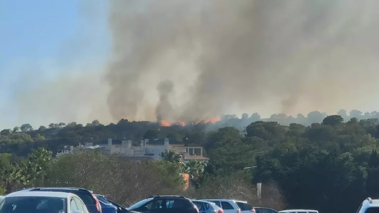 Skogbrannen på Orihuela Costa kan bane vei for flere boliger