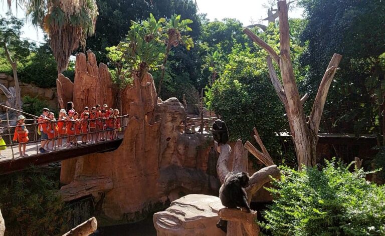 Bioparc Fuengirola med nye tilbud