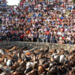 rapa-das-bestas-cabecera