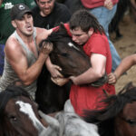 rapa_das_bestas_de_Sabucedo