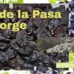 dia-de-la-pasa-el-borge-1