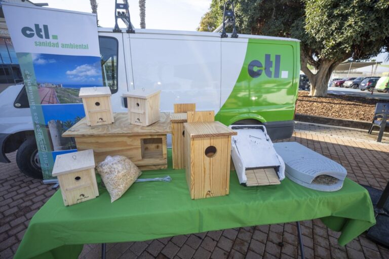 Flaggermus og droner mot myggplagen i Torrevieja