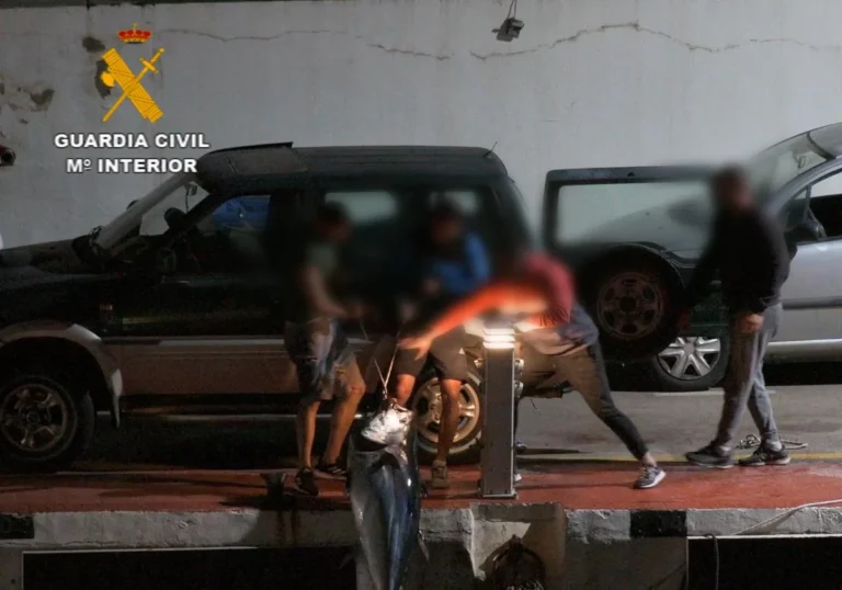 Politifolk drev med tjuvfiske og salg av tunfisk