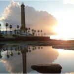 MixCollage-01-May-2025-12-35-PM-3584