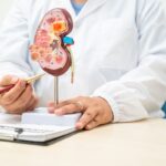 A female doctor works at a desk in a hospital, discussing kidne