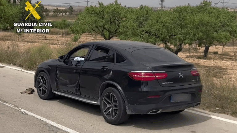 Kastet katt ut av bilen og kjørte over den flere ganger