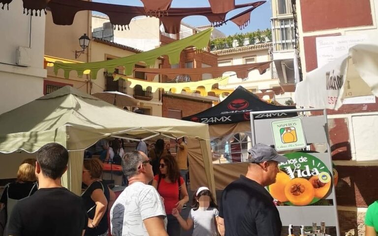 Autentisk landsby-messe ikke langt fra Alfaz del Pi