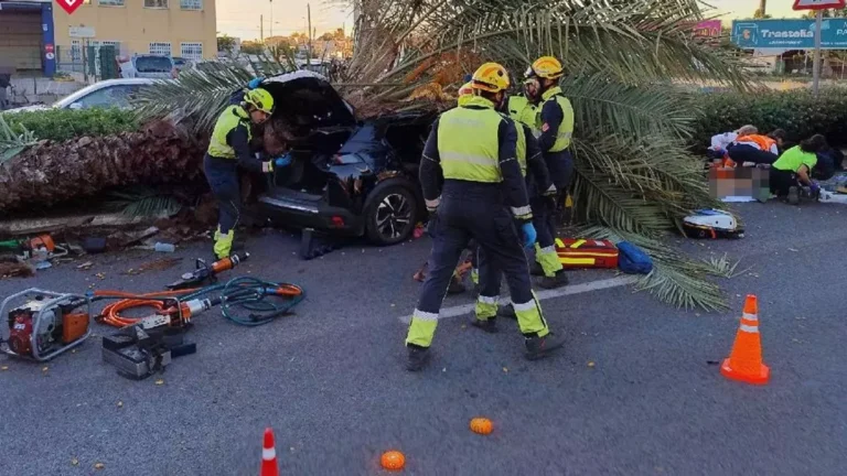 Omkom da en palme falt ned på bilen han kjørte i Torrevieja