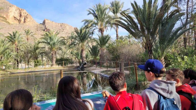 Opplev Europas nest største palmeskog: El Palmeral i Orihuela